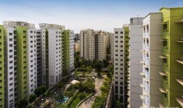 网友爆料河津楼盘视频,品质与价格背后的真相