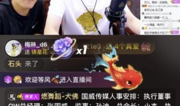 平乐勇哥爆料视频播放全集,事件真相与幕后黑幕